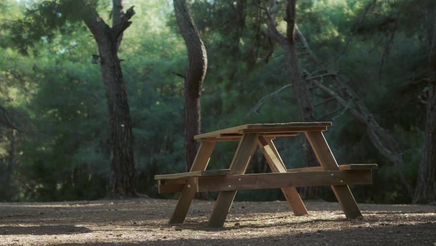 An empty picnic table with benches in a beautiful forest. Picnic in nature. Outdoor recreation. High quality 4k footage