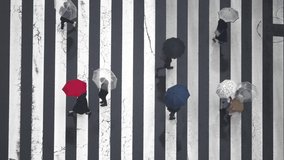 Top view crowd of busy pedestrian people holding umbrella crossing street crosswalk in Tokyo City, Japan in autumn raining day. Business man and woman go to work in city office district in rush hour. - Powered by Shutterstock - Get 15% off with code: PIKWIZARD15