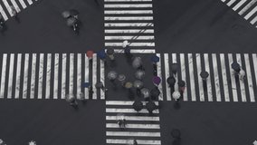 Aerial view crowd of busy pedestrian people holding umbrella crossing street crosswalk in Tokyo City, Japan in autumn raining day. Business man and woman go to work at office district in rush hour. - Powered by Shutterstock - Get 15% off with code: PIKWIZARD15