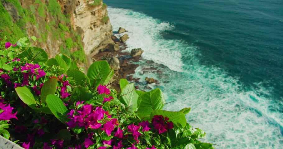 Colorful beachfront of Uluwatu Temple Bali Island Indonesia. Bright pink crimson flowers grow on the edge of cliff of azure ocean. Amazing landscape with peaceful sea waves background. | Shutterstock HD Video #1097519753