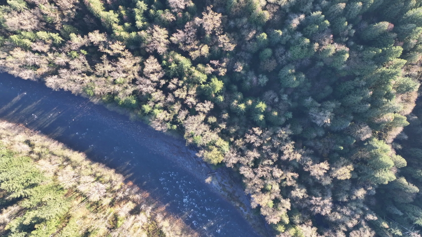 An aerial view shows the Sandy River flowing through a healthy forest near Mount Hood, Oregon. Forests cover large swaths of land throughout the Pacific Northwest in the United States.