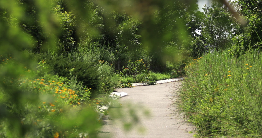 View of New York City Governors Island walkway.