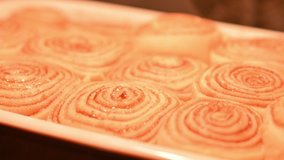 Cinnamon rolls. Cinnabon homemade buns are baked in the oven. The process of making cinnamon buns at home, fragrant tasty pastry, bakery product. Fresh bakery, sweet traditional dessert - Powered by Shutterstock - Get 15% off with code: PIKWIZARD15