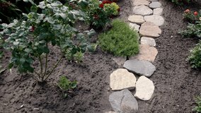 Stone path in the garden. Camera movement along stones and plants. Walking through a well-groomed garden. Landscaping from natural objects.