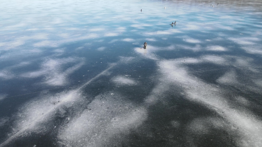 Ice river in winter. Fishermen are fishing on the beautiful blue ice frozen on the river, lake in winter, drone view from above.