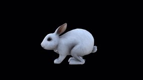 White Rabbit Jump View From Side, Animation.Full HD 1920×1080. 03 Second Long.Transparent Alpha Video. LOOP