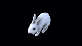 White Rabbit Jump View From Top Angle Front, Animation.Full HD 1920×1080. 03 Second Long.Transparent Alpha Video. LOOP