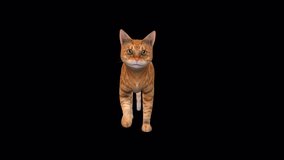 Cat Yellow Walk Front, Animation. Full HD 1920×1080. 03 Second Long. Transparent Alpha Video. LOOP