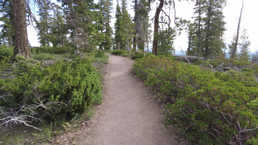 Hiking Rainbow Point in Bryce Canyon National Park