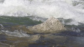 Water flowing in spring river over small rock, slow motion video