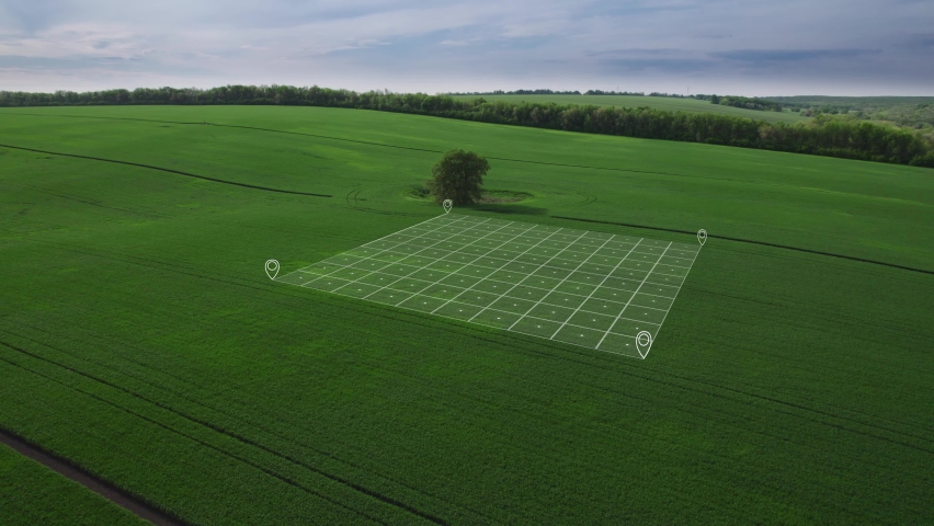 Land surveying in a field. Division of land for future sale and development. Royalty-Free Stock Footage #1097592099