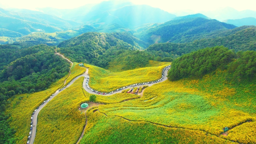Beautiful yellow flowers in the middle of mountains, Bua Tong Blossom Festival at Doi Mae-U-Kho, Mae Hong Son Province, Northern Thailand. one of the most beautiful attractions in Thailand. Drone 4K
 | Shutterstock HD Video #1097603825