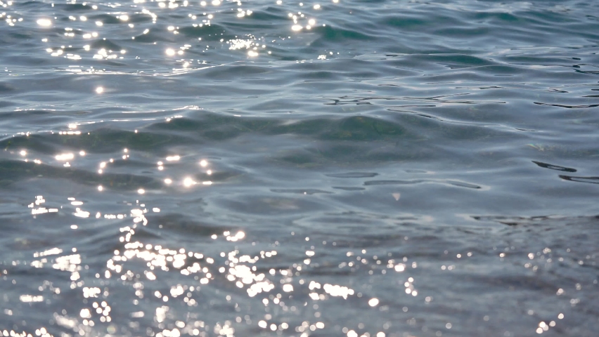Clear rather calm sea with small waves, sun reflects in water, some seaweed visible, closeup detail from the beach near | Shutterstock HD Video #1097622479