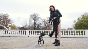 Beautiful girl with burgundy hair and in an elegant dress is feeding a cute puppy. The puppy jumps. Dog mix: Staffordshire Terrier and Pit Bull Terrier. Vertical video
