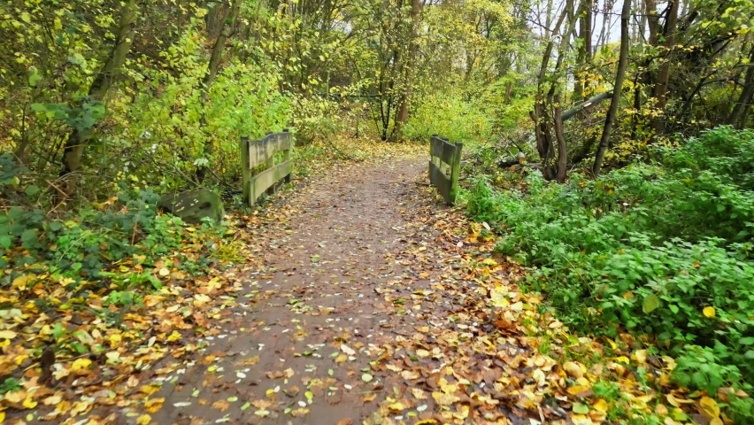 Pathway over a small foot bridge in woods at Venusberg, Bonn on a beautiful and cold Autumn morning