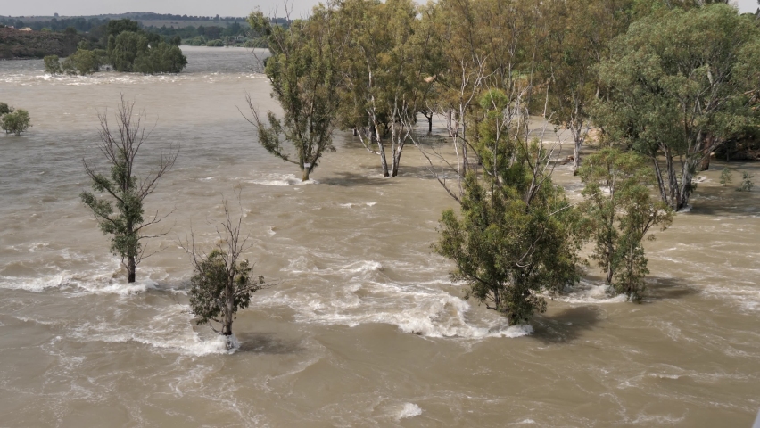 Flooding South African Vaal River overruns banks into shoreline trees