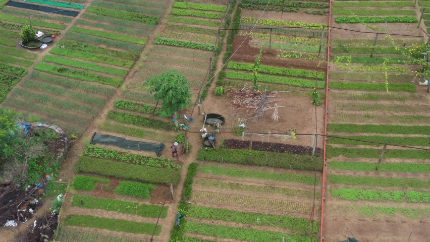 AERIAL VIEW OF TRA QUE VILLAGE IN WORLD HERITAGE LISTED HOI AN, VIETNAM