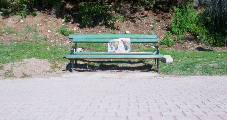 Adorable dachshund puppy in blue uniform, with backpack on its back and with sneakers for training, hanging around its neck, runs down the alley to school or gym on warm sunny day.