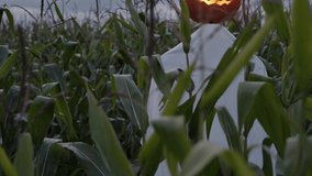 A scary scarecrow in a cornfield against the sky at sunset. Halloween holiday concept - Powered by Shutterstock - Get 15% off with code: PIKWIZARD15