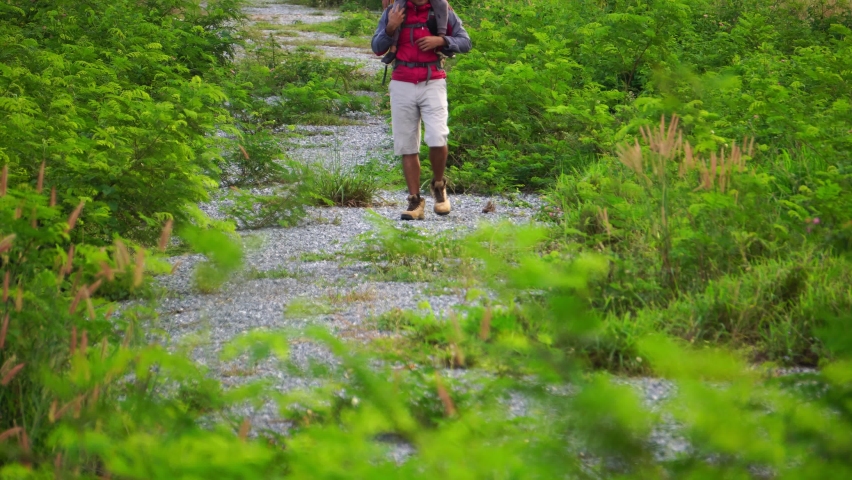 Father and son are taking a walk in the forest as their holiday activity