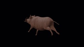 Wooden Boar Run Back Side, Animation. Full HD 1920×1080.Transparent Alpha Video. LOOP.