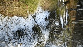 VERTICAL VIDEO, Autumn, green and yellowed grasses covered with the first snow on a wet marshy meadow