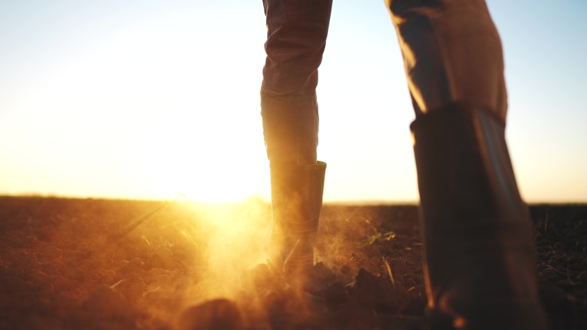 farmer feet walks across a black field. agriculture business concept. silhouette of a farmer feet at sunset walking across a lifestyle black plowed field. farmer in rubber boots legs close-up Royalty-Free Stock Footage #1097695503