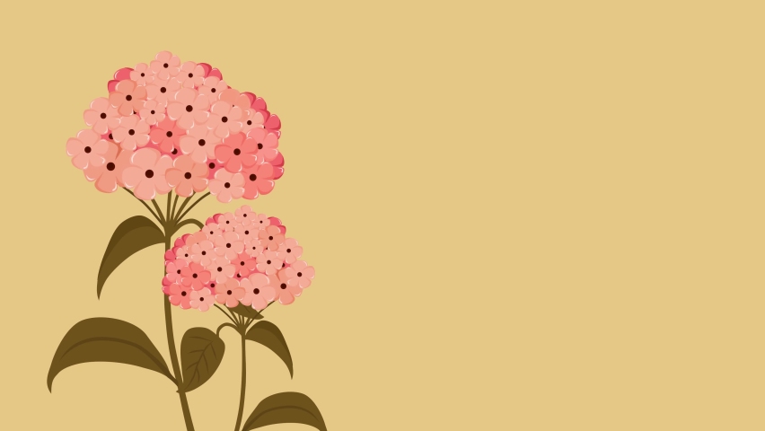 Pink flowers moving in yellow background