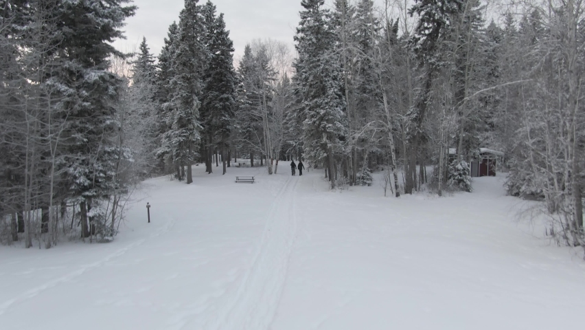 2 people walking into the forest sunset from above