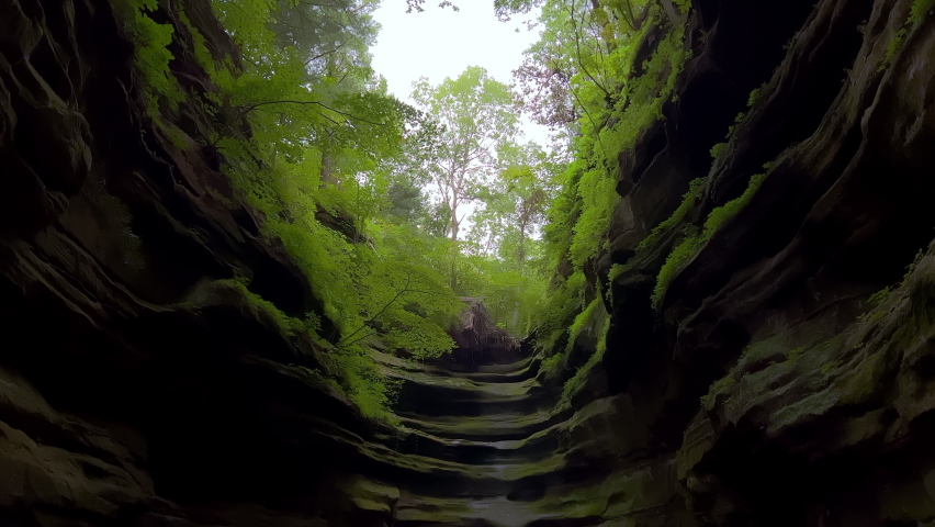  Starved Rock State Park, canyon and forest, day shot. Wide shot