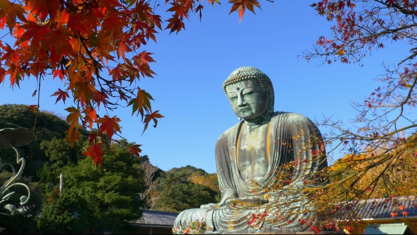 Great Buddha in Kamakura, Japan in autumn with red maple leaves. Religion in Japan. Buddha statue. Japanese buddhism Royalty-Free Stock Footage #1097713325