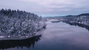 Winter season aerial view drone shot forest and lake nature snow-covered trees 4K video footage