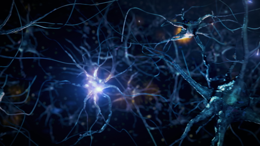 3D Animation of Neurons firing electrical impulses. Nerve Cell Activity in the Brain, Neurogenesis, Neurotransmitters, Synapse. Nervous System.
 | Shutterstock HD Video #1097735549