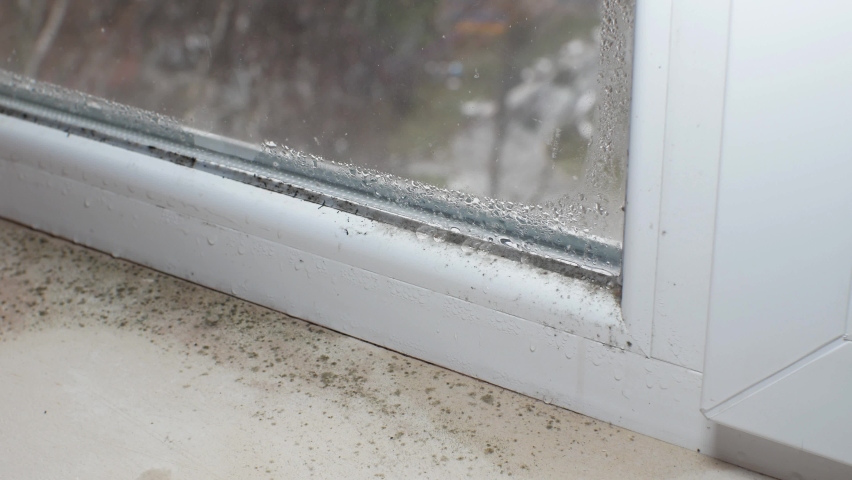 Woman is cleaning Black mold fungus growing on windowsill with sponge. Dampness problem concept. Condensation on the window. Royalty-Free Stock Footage #1097756411