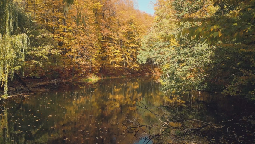 lake in autumn forest in sunny weather