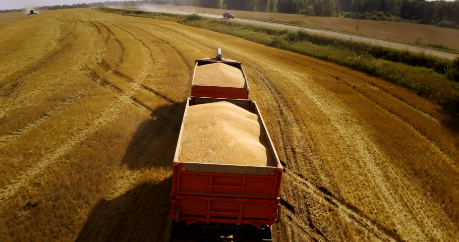 Aerial view of cargo truck driving on dirt road between agricultural wheat fields making lot of dust. Transportation of grain after being harvested by combine harvester during harvesting season Royalty-Free Stock Footage #1097776701