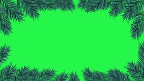 Christmas frame animation consisting of pine tree leaves on a green background. Christmas frame animation with key color.  Key color, Chroma key.