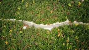 4k aerial photography of a beautiful colorful autumn park. Aerial shot of colorful autumn trees. The road in the autumn forest. . Autumn nature.