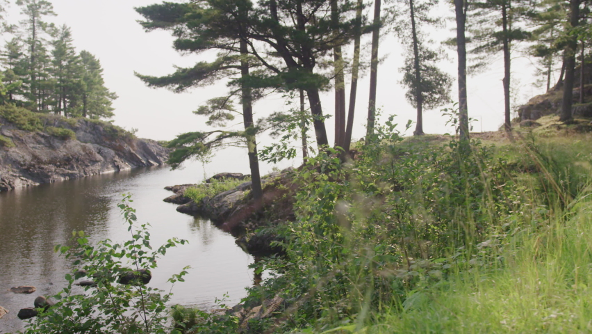 Forested rocky inlet of Lake Superior near Marquette Michigan in summer
