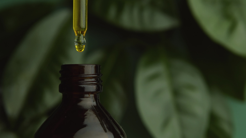 Natural oil. Alternative medicine. Handmade cosmetics. Pipette with oil. Dark glass bottle. Background from natural leaves. A drop of oil.  Face and body skin care. Condensate and oil drops. Close-up Royalty-Free Stock Footage #1097817109