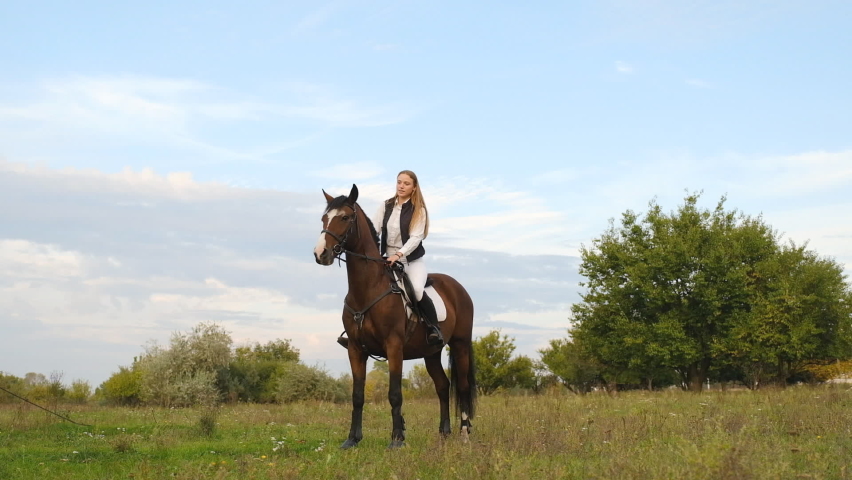 A horse with a woman rider stands on its hind legs and demonstrates strength.