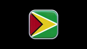 3d Guyana Flag Square Icon Animation Transparent Background Free Video