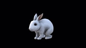 White Rabbit İdle View From Side , Animation.Full HD 1920×1080. 11 Second Long.Transparent Alpha Video. LOOP