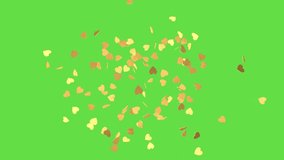 Explosion of golden hearts on green screen. Heart confetti. Festive effect for Valentine's Day. 3D animation - Powered by Shutterstock - Get 15% off with code: PIKWIZARD15