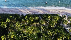 Long shadows of coconut trees onto Brazilian beach at sunset white and blue waves Aerial Video
