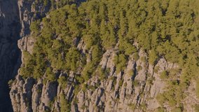 Rough landscape. Wildlife. Green forest on gray rocks. Canyon. Aerial drone video footage of flight over the hills