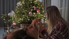 A beautiful girl enjoys the company of her cute purebred Beagle dog. Christmas tree lights shine on a blurred background. The concept of the New Year's holiday. Christmas atmosphere. - Powered by Shutterstock - Get 15% off with code: PIKWIZARD15