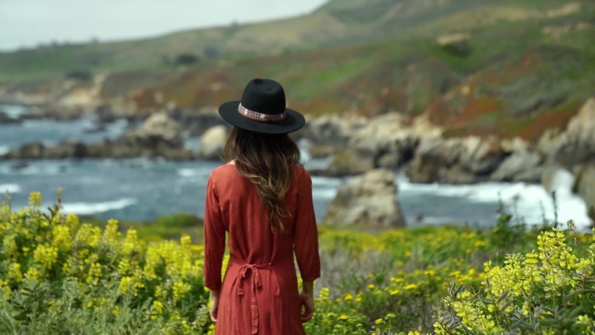 Spring time in Garrapata State Park in California near Big Sur.
