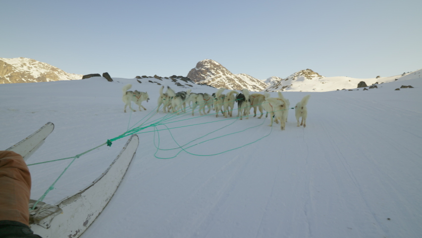 Husky Dogs, Men, Sled, Snow, Pulling