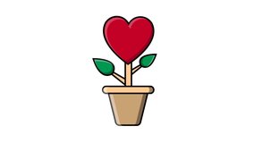 Festive flower in a pot in the shape of a heart symbol of love for Valentine's Day isolated on a white background. Abstract background. Video in high quality 4k, motion design
